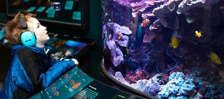 Smithsonian Morning at the Museum