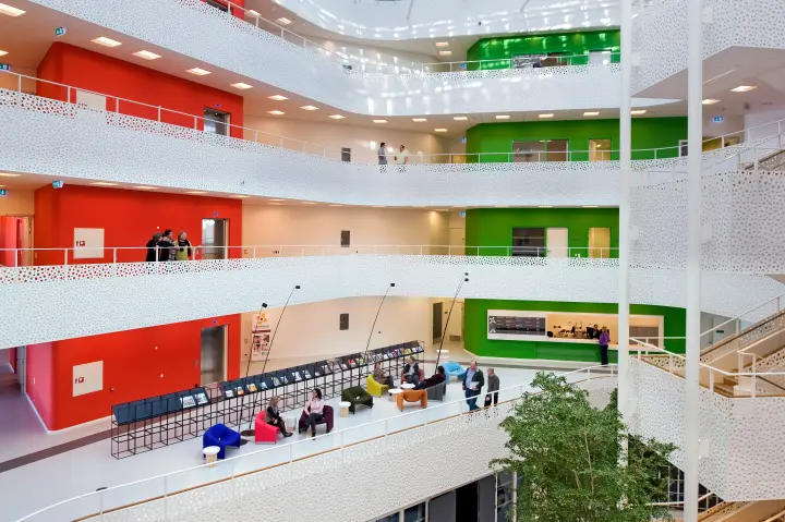 House of Disabled People's Organisations