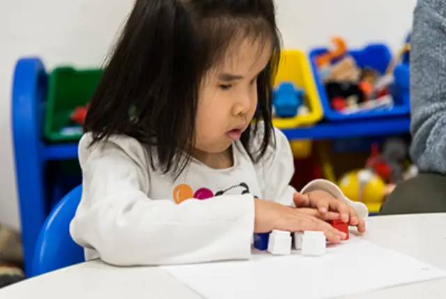 Primary Grades
